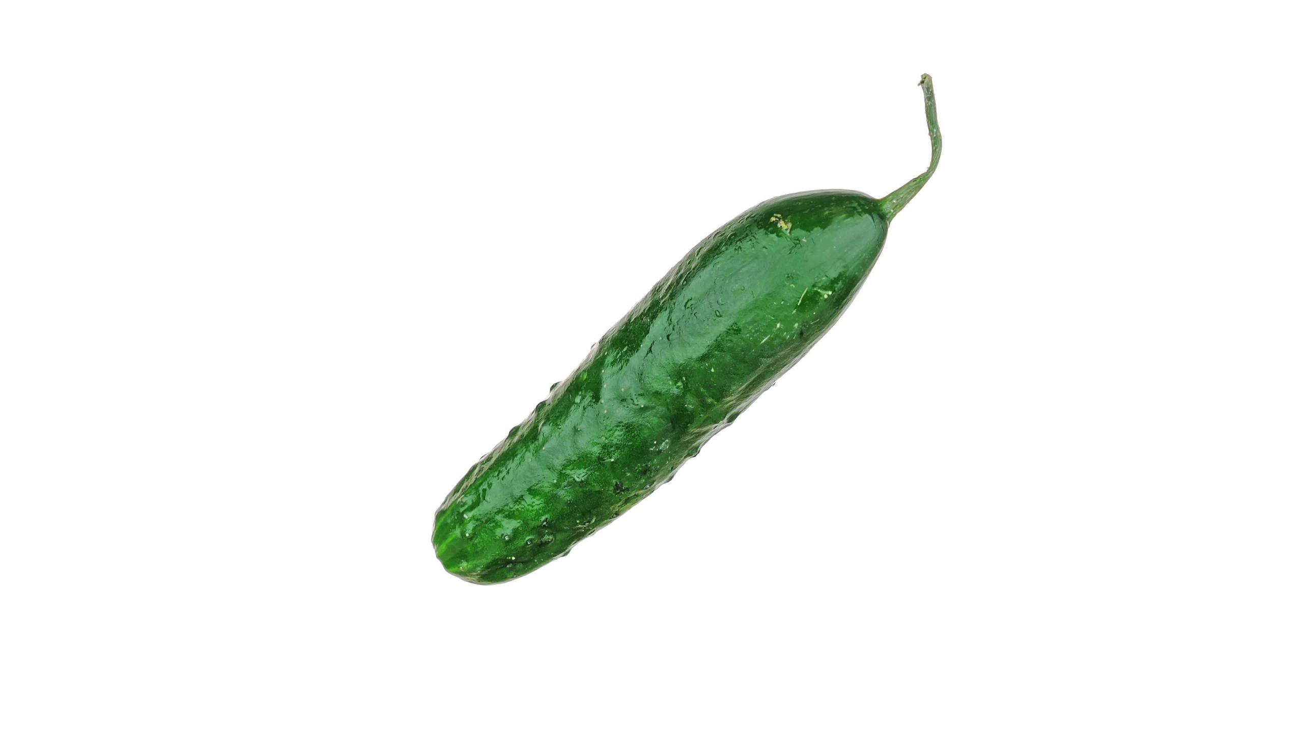 Wet tasty cucumber rotates on white background
