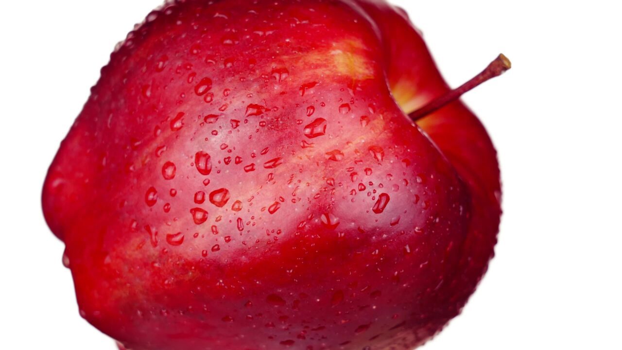 Tasty red apple fruit