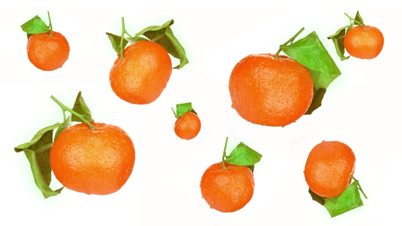 Many orange clementines on a white background
