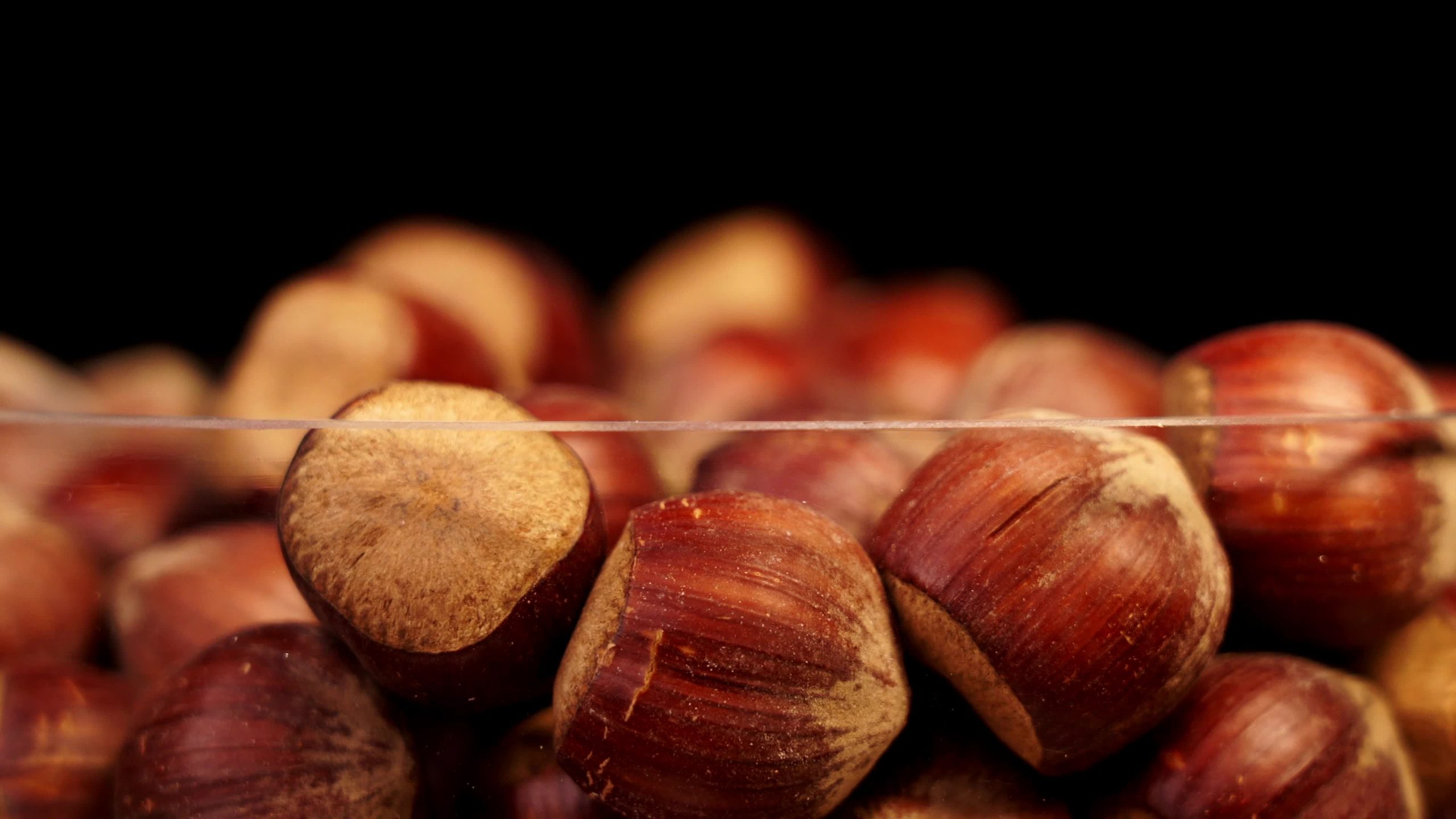 Contenitore con nocciole fresche pelate su fondo nero