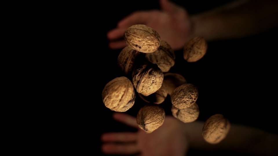 Noci marroni vengono lanciati al rallentatore