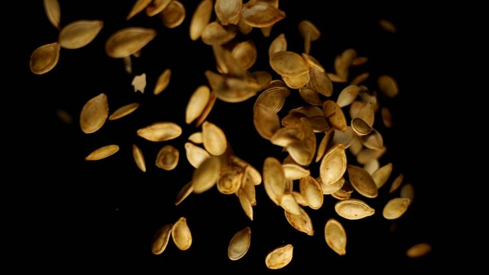 Thrown pumpkin seeds on a black background