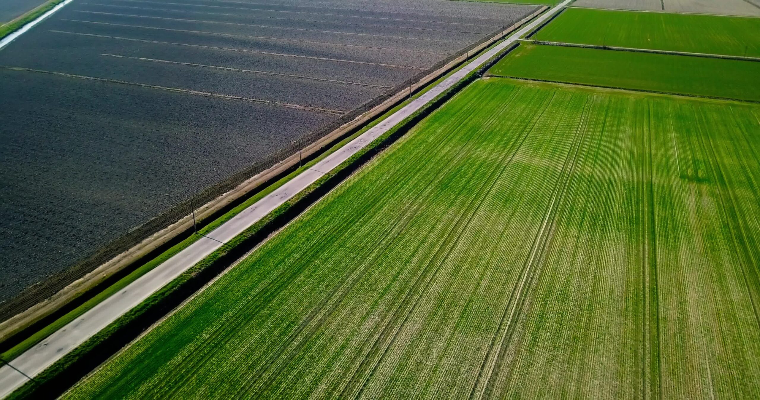 La strada asfaltata attraversa campi sconfinati con canale in primavera