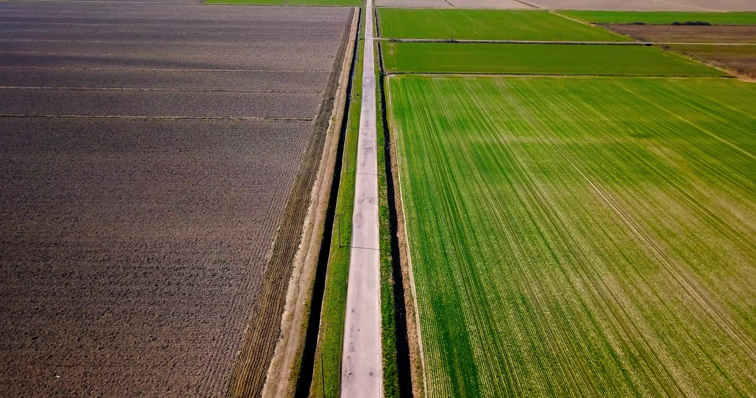 Long road stretches among green fields past canals in spring