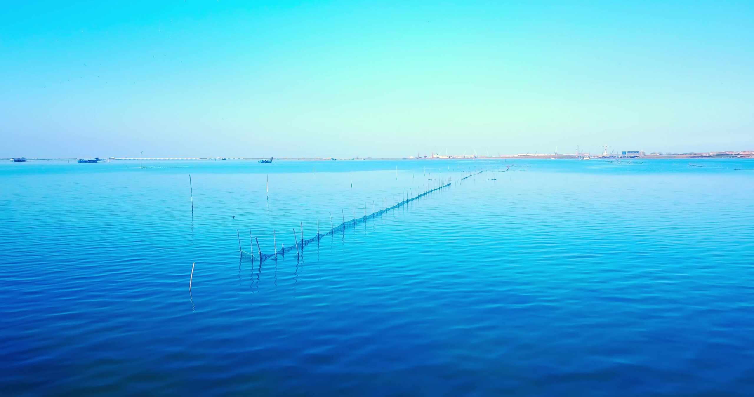 Laguna luminosa con reti per la molluschicoltura industriale