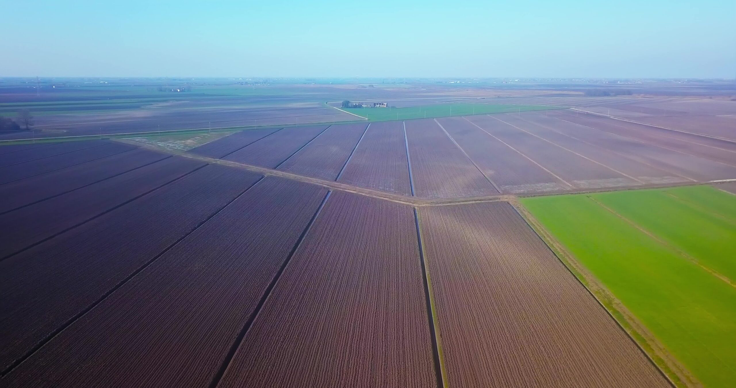 Field with narrow irrigation canals by unseeded terrain