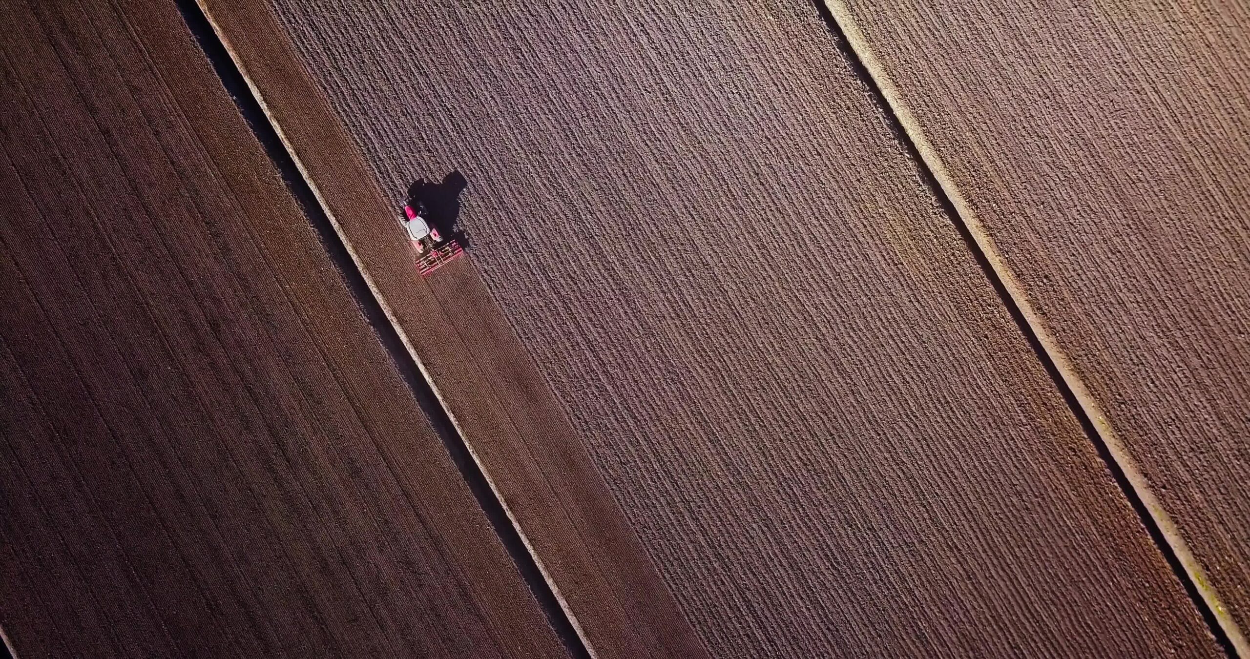 Campo senza semi marrone scuro e terreno che ara il trattore in primavera
