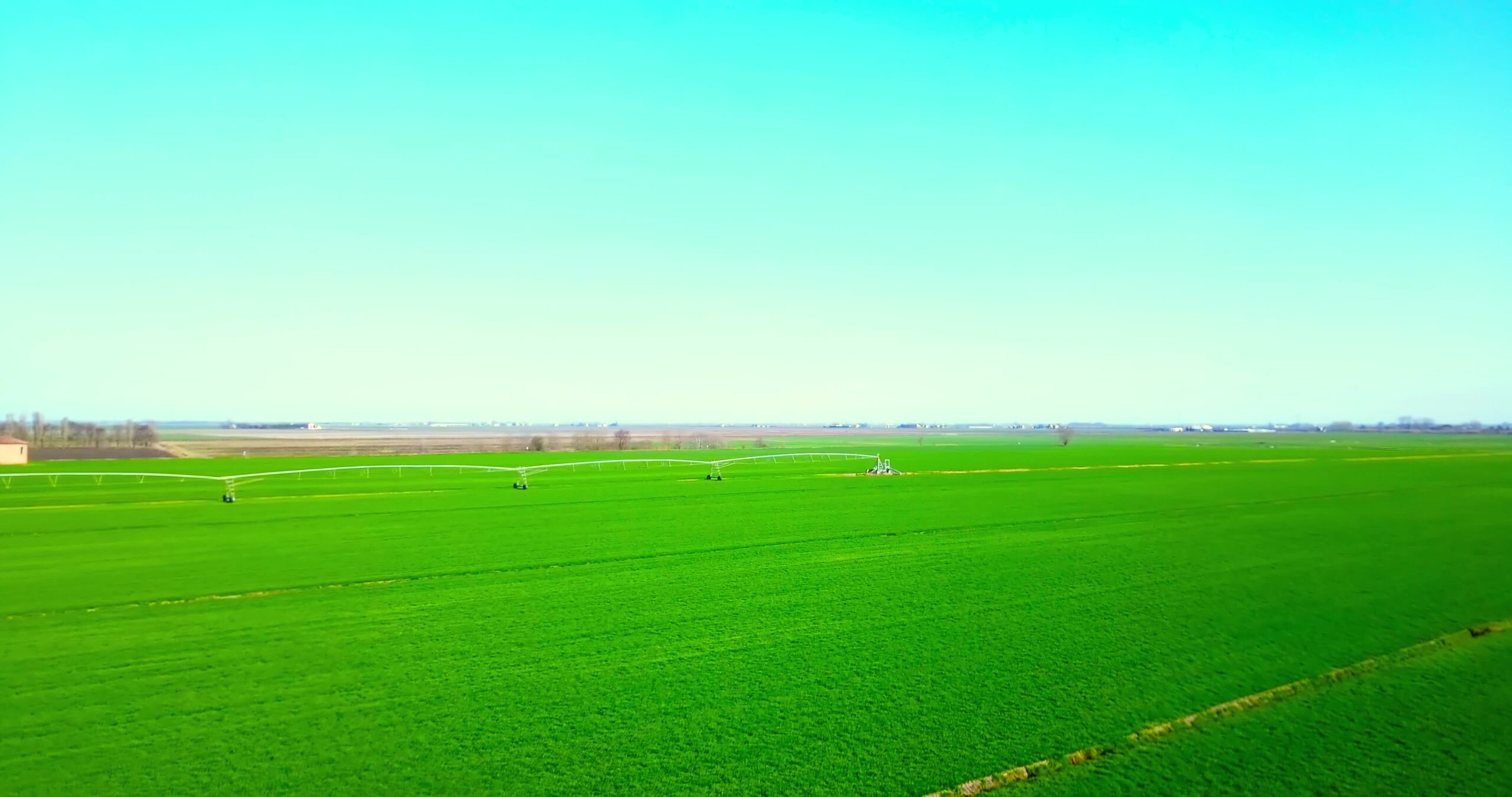 Field with early sprouts and special irrigation systems