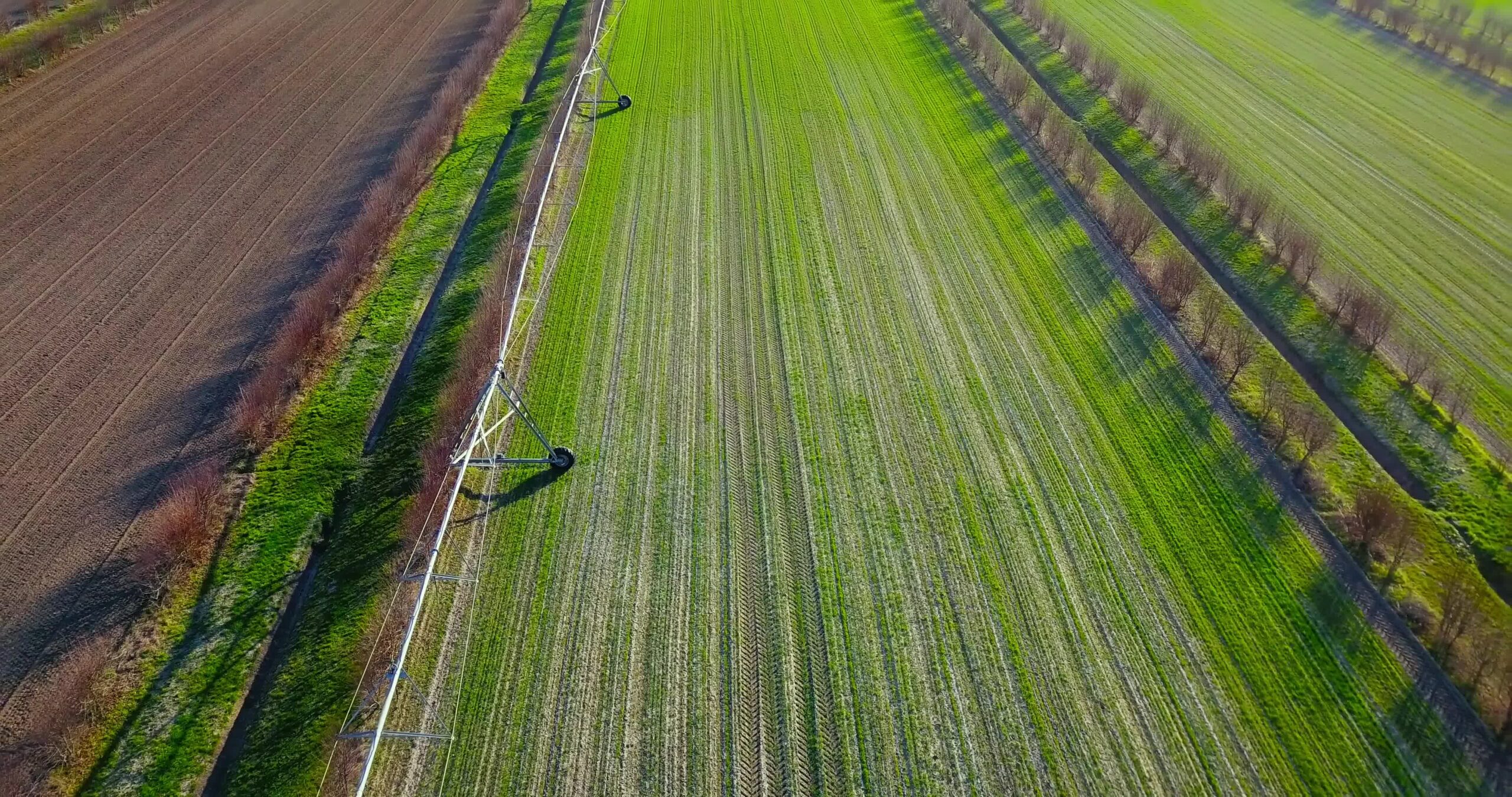 Specially installed irrigation systems on vegetable fields
