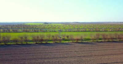 Irrigation system pipes installed between plowed fields