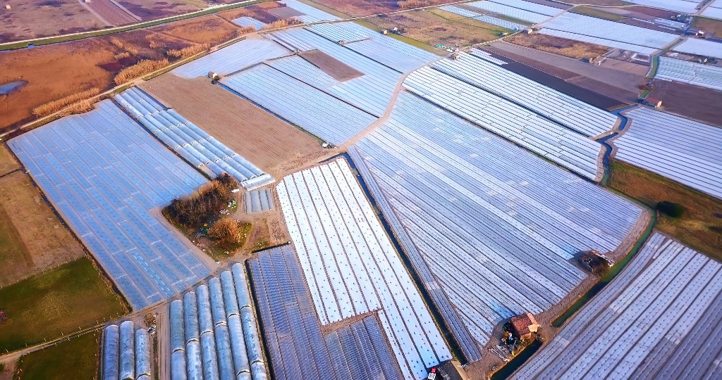 Terreni di campo vegetale sotto una spessa lamina in terreni agricoli in primavera