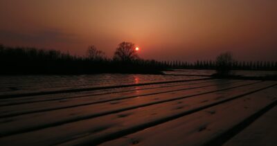 Vegetable field hotbed rows under thick foil at sunset
