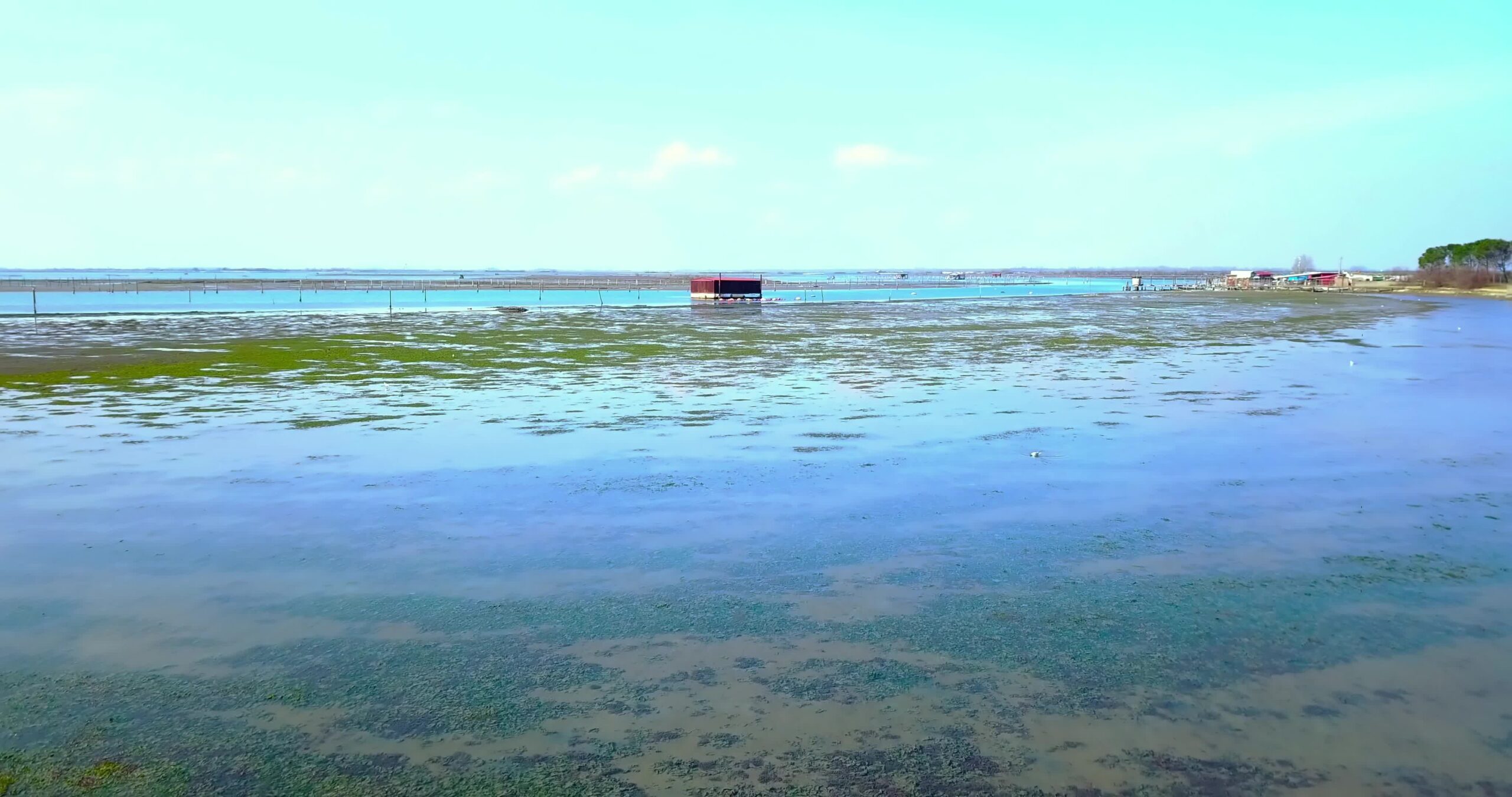 Laguna veneziana con piante acquatiche e tetto rosso