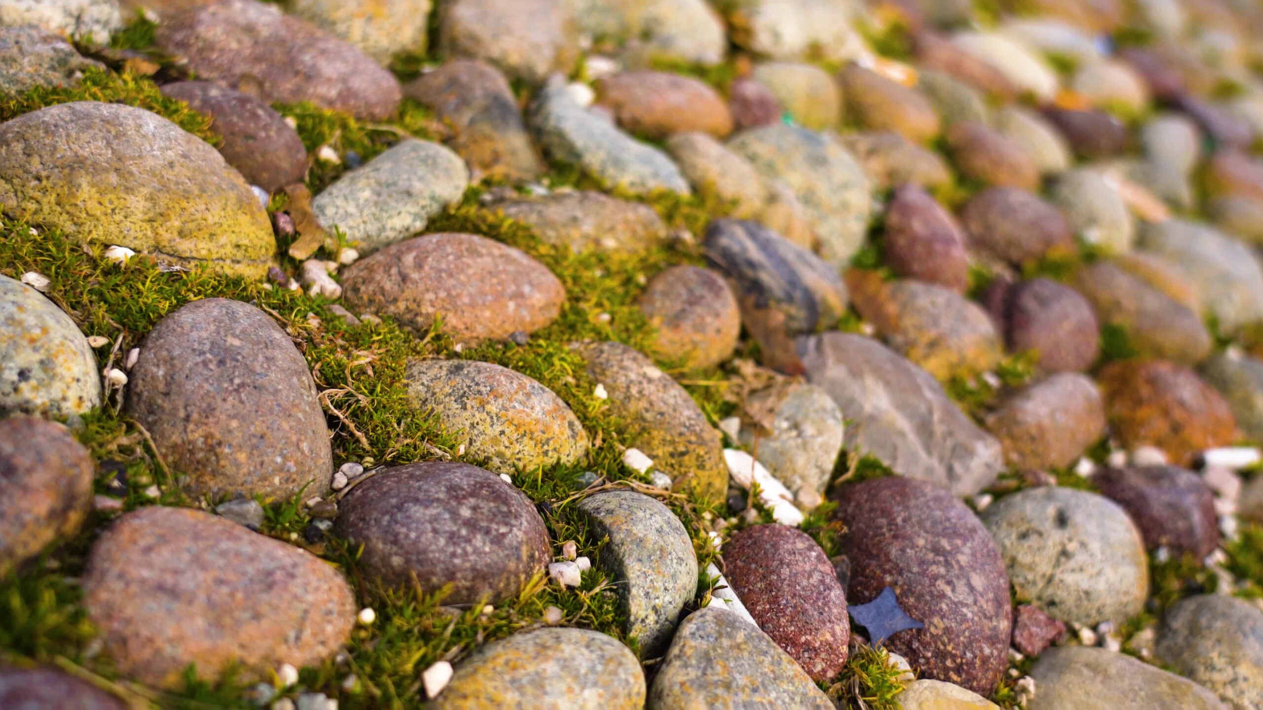 Close motion over pebble pathway on green grass in garden