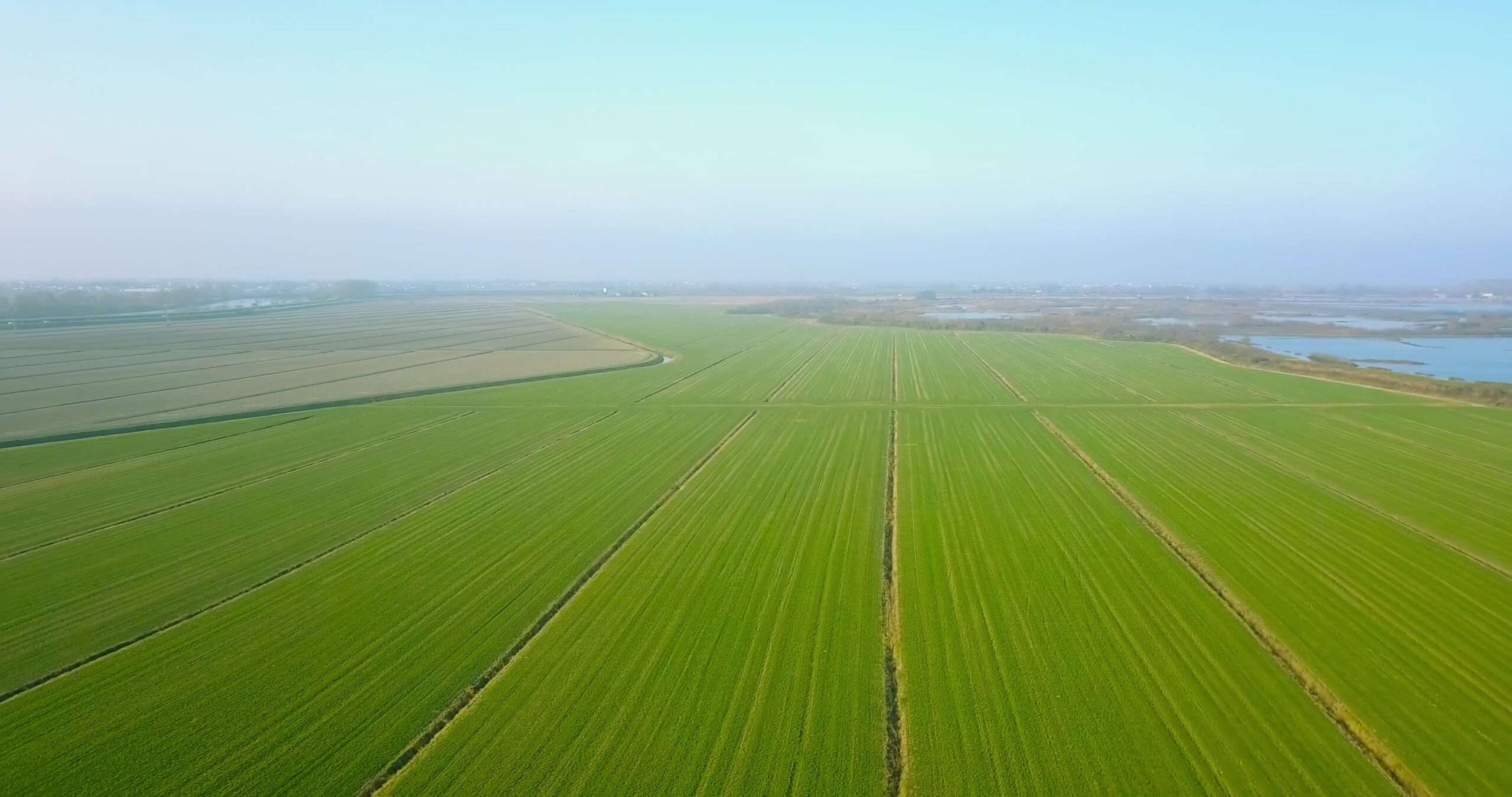 Big green agricultural fields