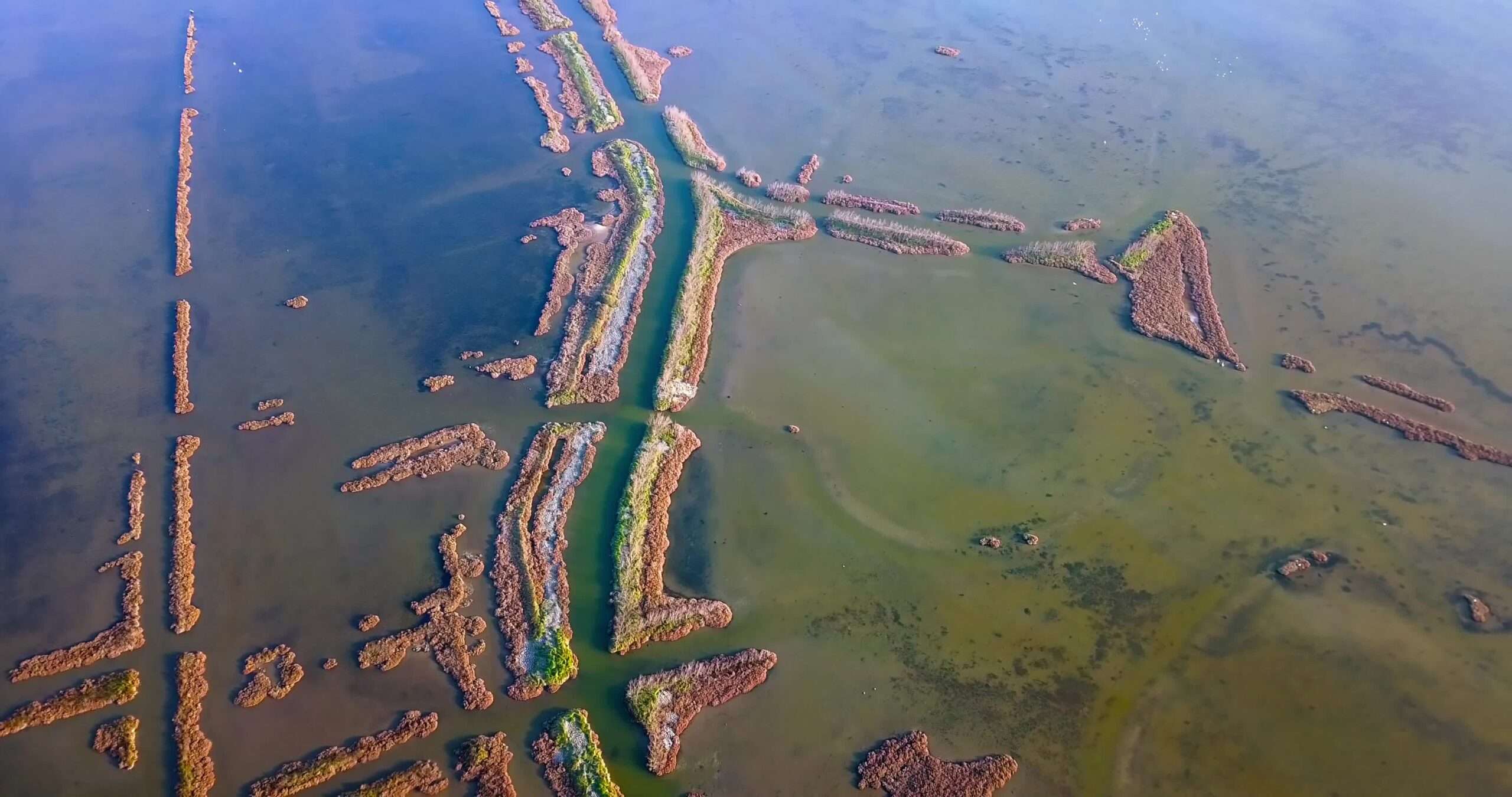 Piccole isole in laguna di Venezia