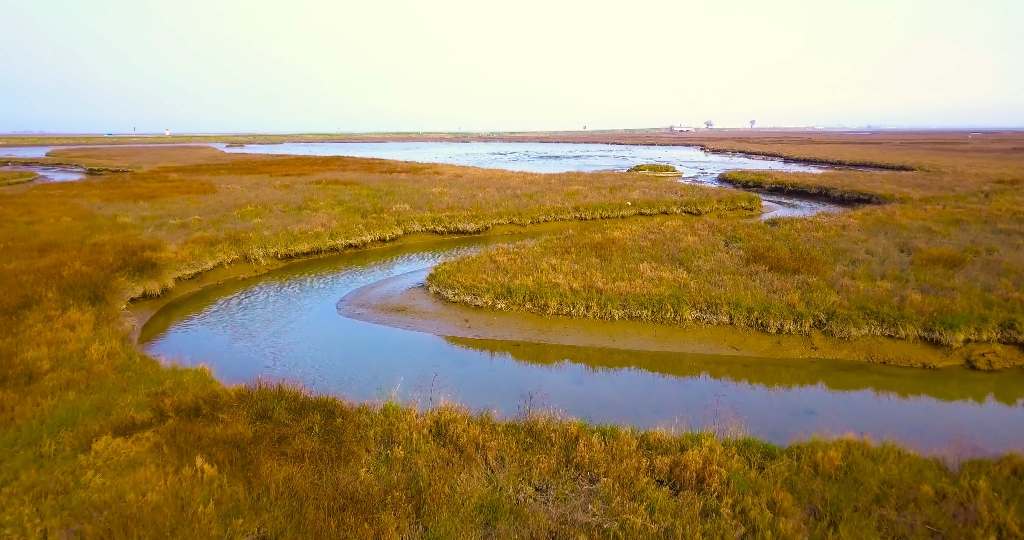 Winding river reflects thickets on land against highway