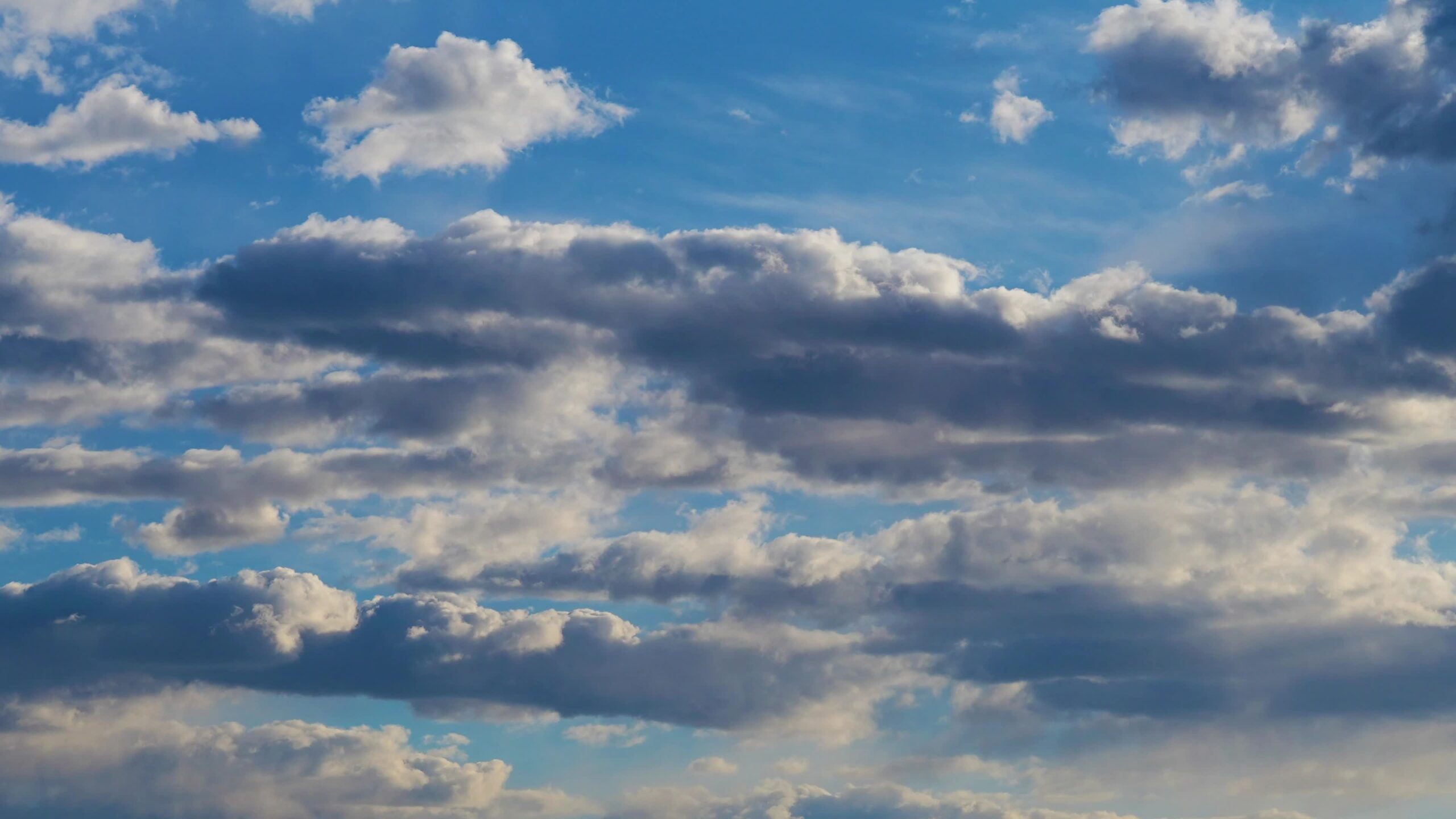 Skyscape with massive white fluffy rain cloud formations