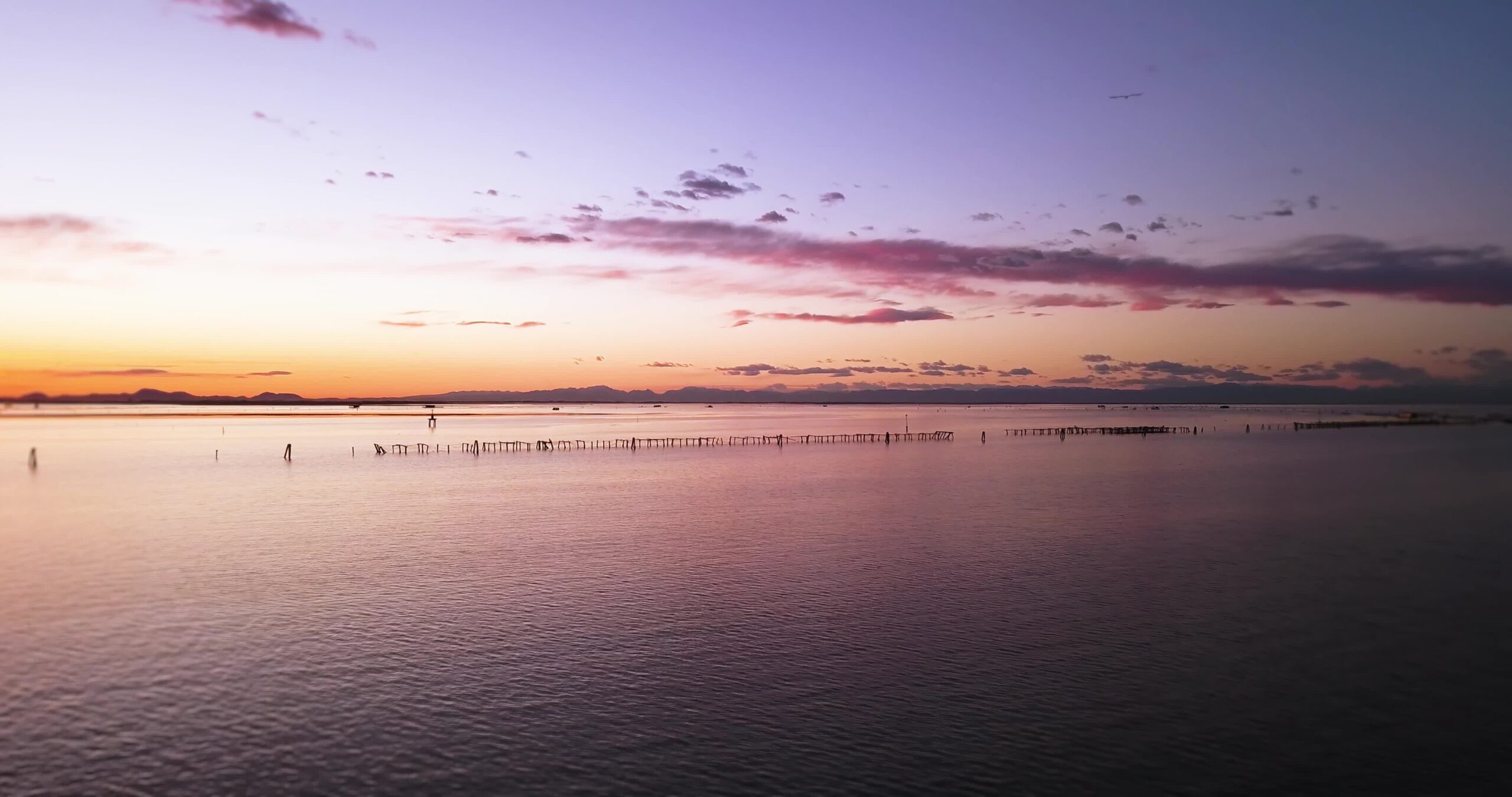Shellfish farm nets on pillars among sea reflecting sunset