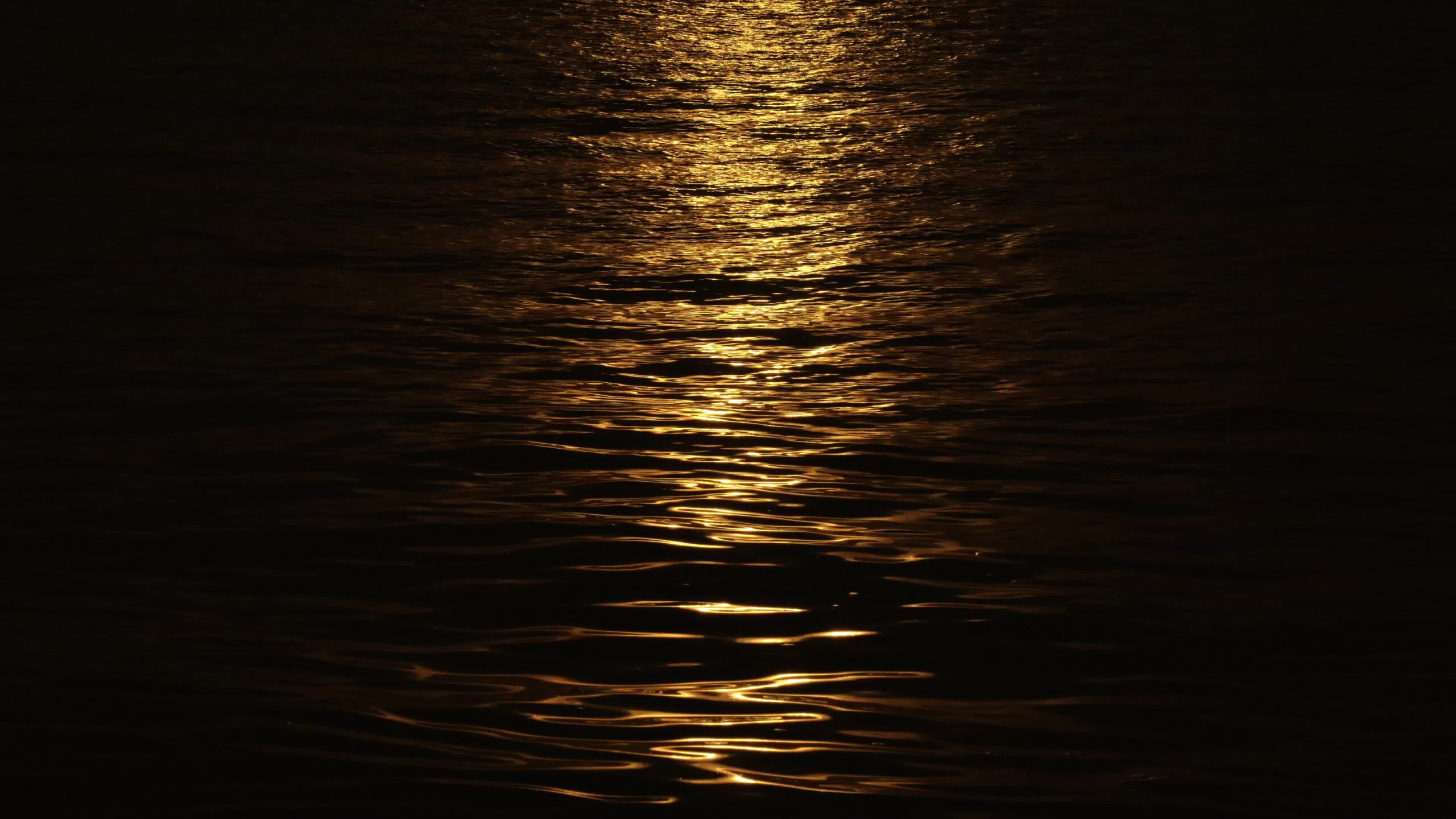 Riflessione del percorso della luce solare a raggi stretti sull’acqua nera come la pece