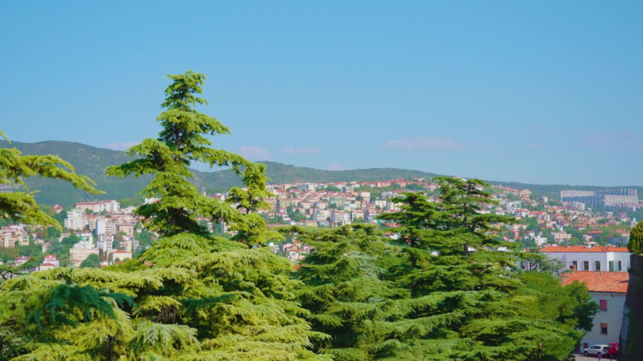 L’impressionante vista della città vecchia si apre dalla cima della collina forestale