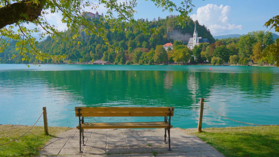 Wooden bench standing in green park against Bled lake