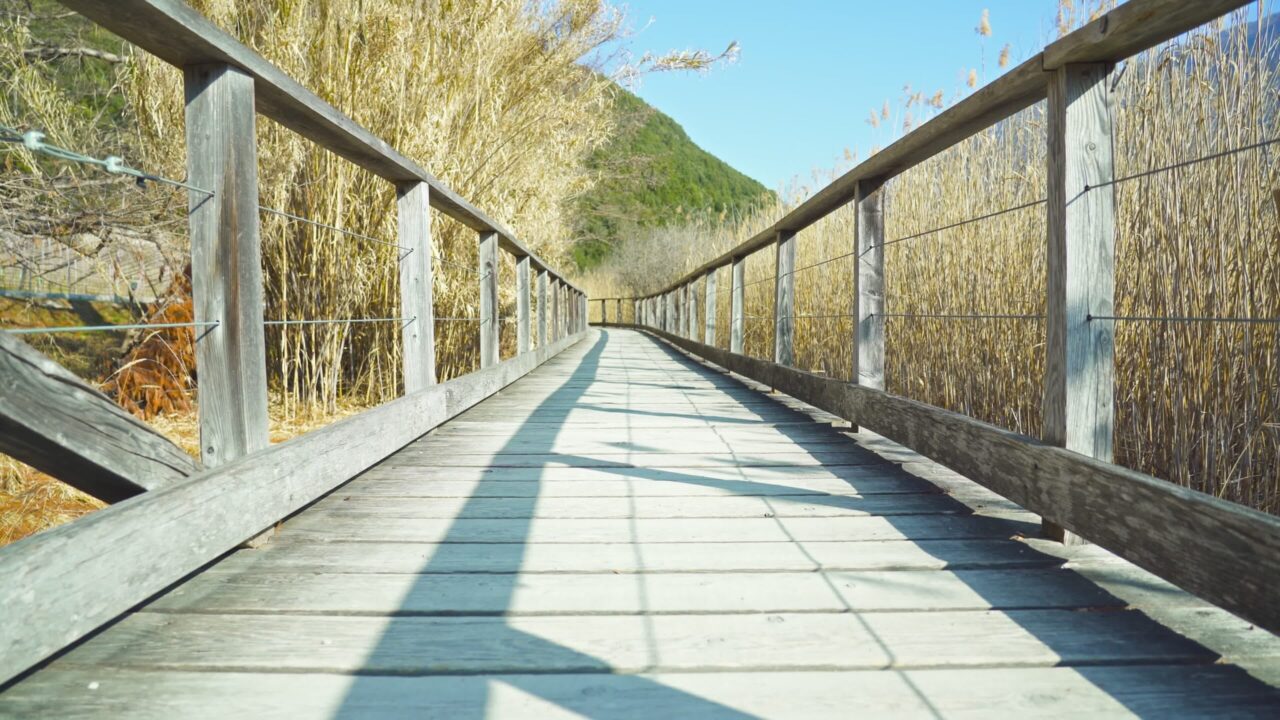 Una lunga passerella di legno si estende su un laghetto con canne secche