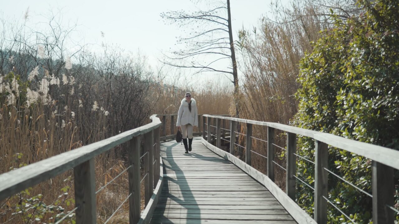 Woman walks on wooden footbridge in sunny autumn weather