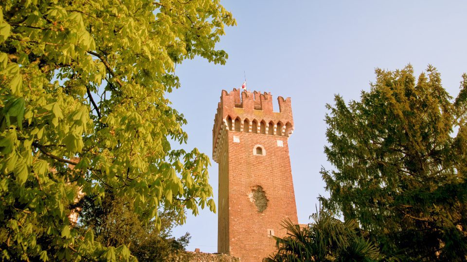 Green trees with lush branches grow against Lazise Castle