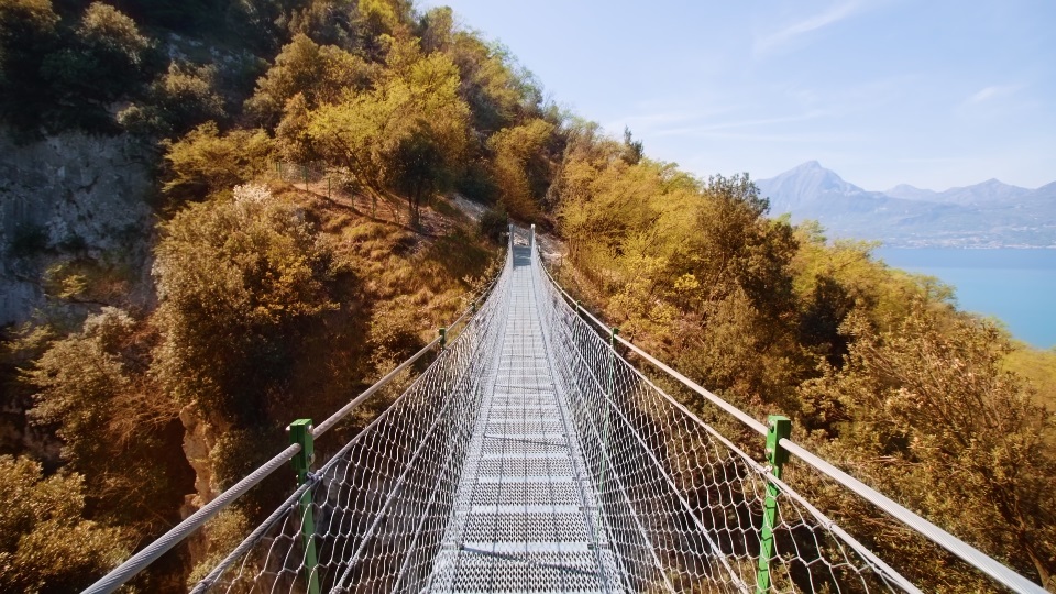 Ponte sospeso circondato da alberi ingialliti vicino al lago