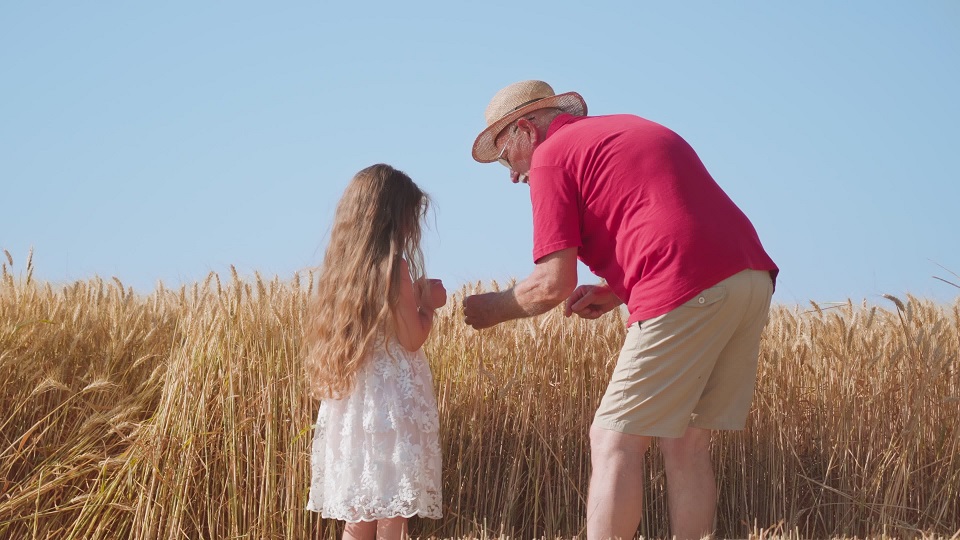 L’uomo anziano e la bambina prendono i grani dalle spighette