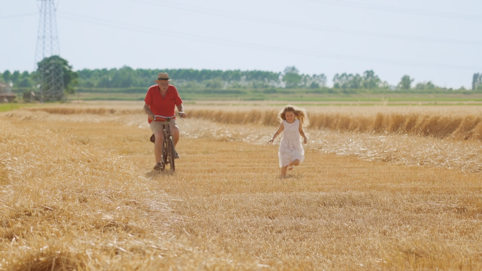 La bambina corre mentre il nonno va in bicicletta sul campo di grano