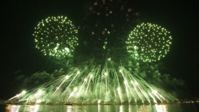 Bright green fireworks explode in air against dark night sky