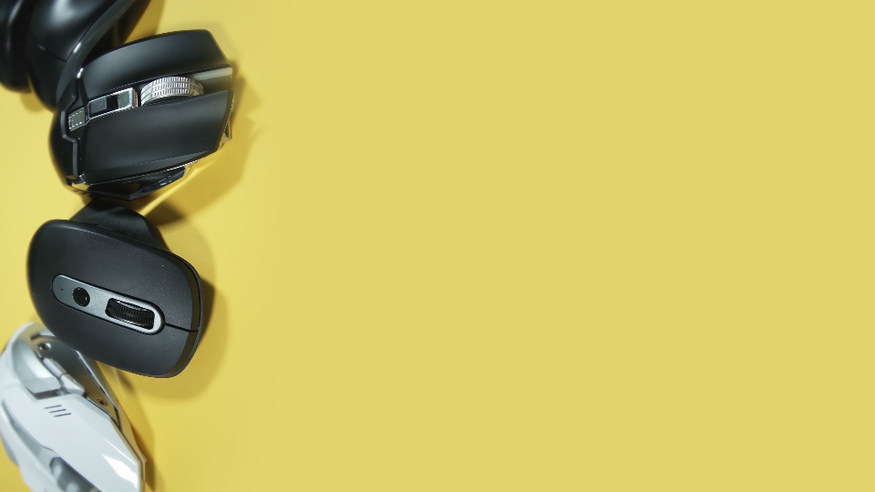 Mouses on yellow background