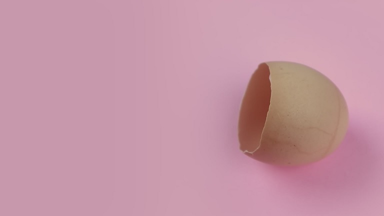 Guscio d’uovo su sfondo rosa