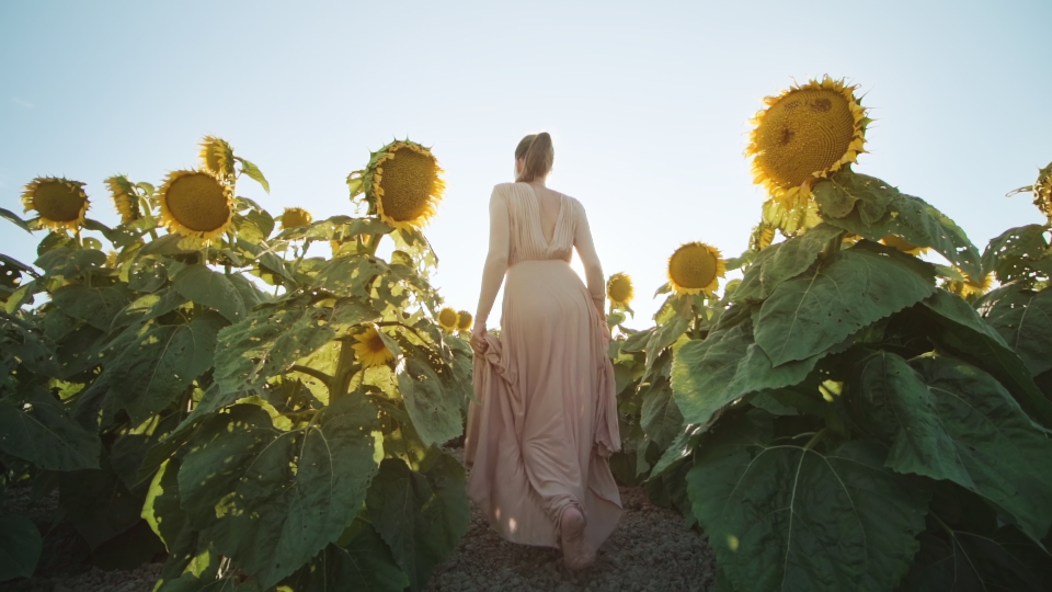 Donna osserva girasoli cresciuti