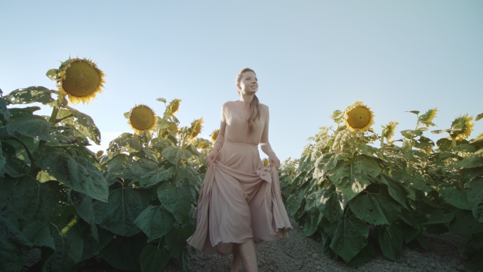 Giro tra girasoli verdi