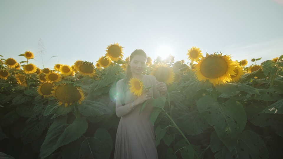 Persona tra girasoli