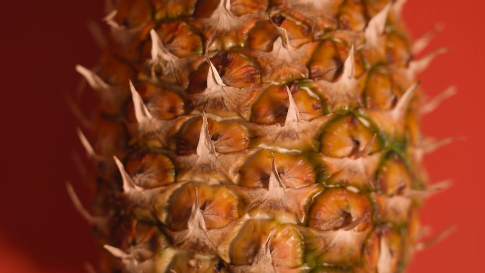 Pineapple: Tropical Sweetness in Our Lives