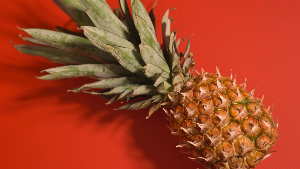 Pineapple resting on red surface