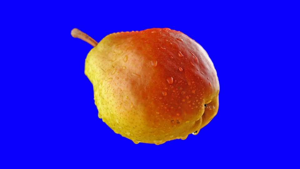 Ripe Pear Rotates On Blue Background For Chroma Key