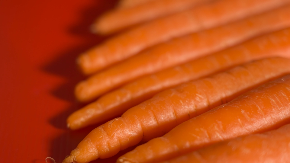 Carrots in a row on red background