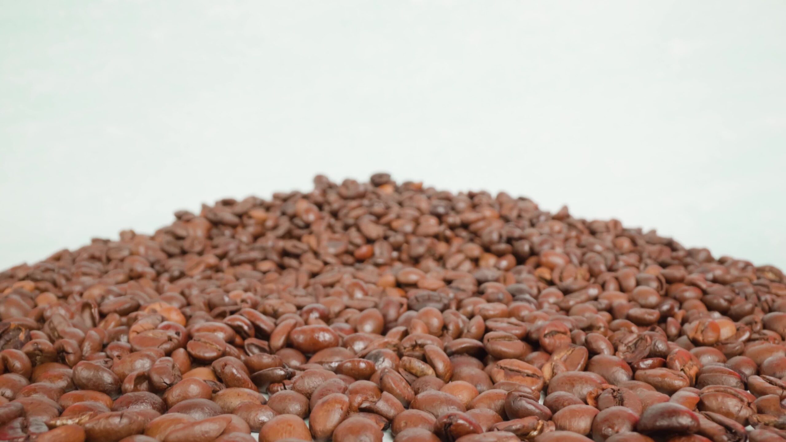 Pile of coffee beans on white background of studio room
