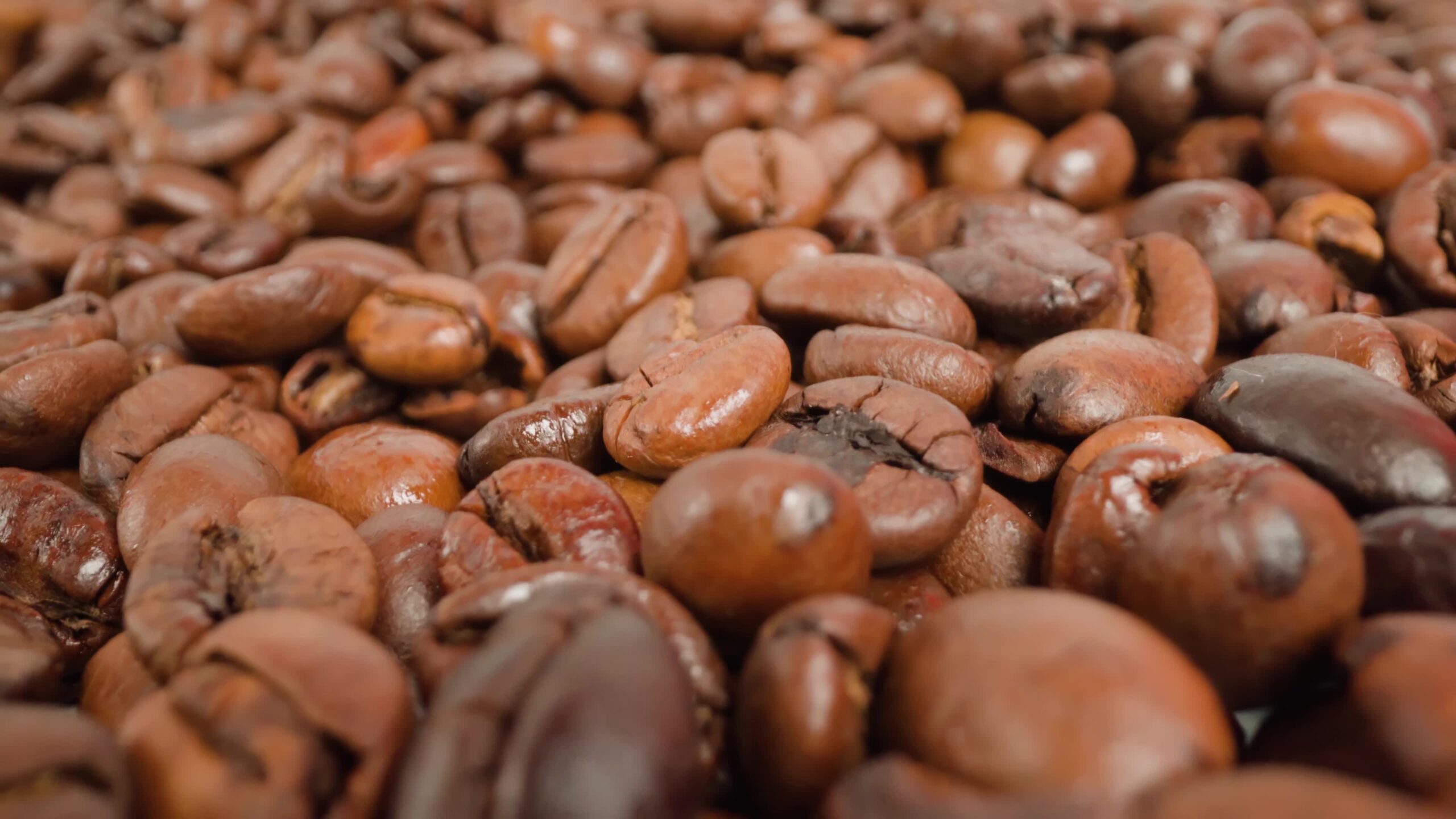 Huge heap of coffee beans shining at bright studio light