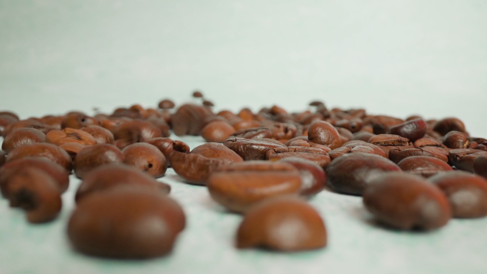 Person throws roasted coffee beans onto surface in studio
