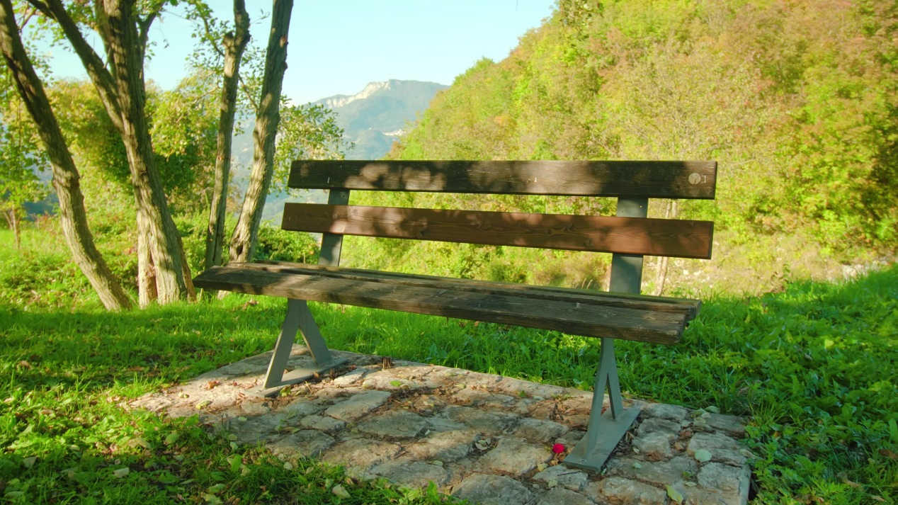 Bench in autumn park in shade of trees against mountain