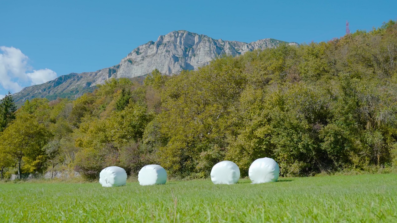 Mucchi di fieno nell’involucro sul prato davanti la foresta e le montagne