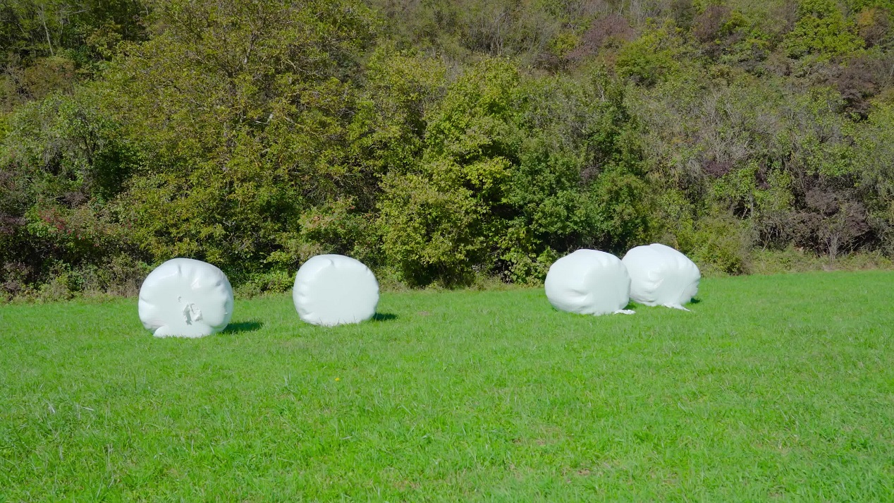 Wrapped hay stacks on meadow near forest and mountains