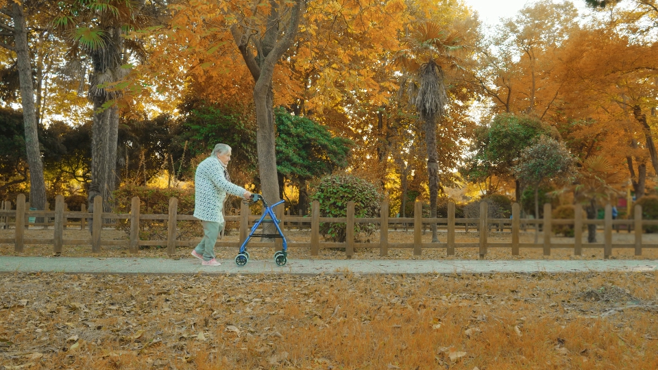 Passeggiata Autunnale della Nonna nel Parco