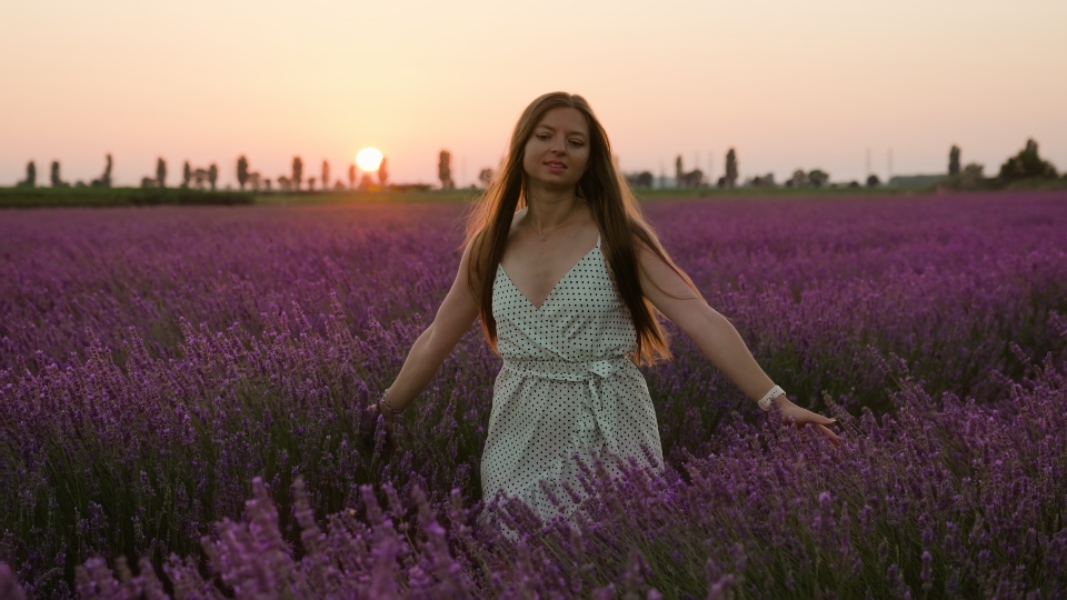 Woman among lavender at sunset